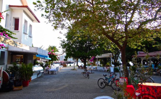 جوتشيك الصور